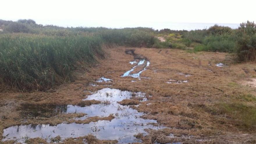 Finalizan los trabajos de limpieza de cañas en la desembocadura del río Seco