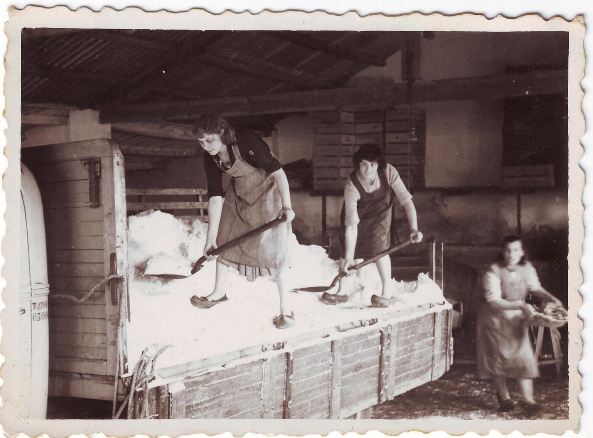 En imágenes: Repaso a la industria conservera de Tapia