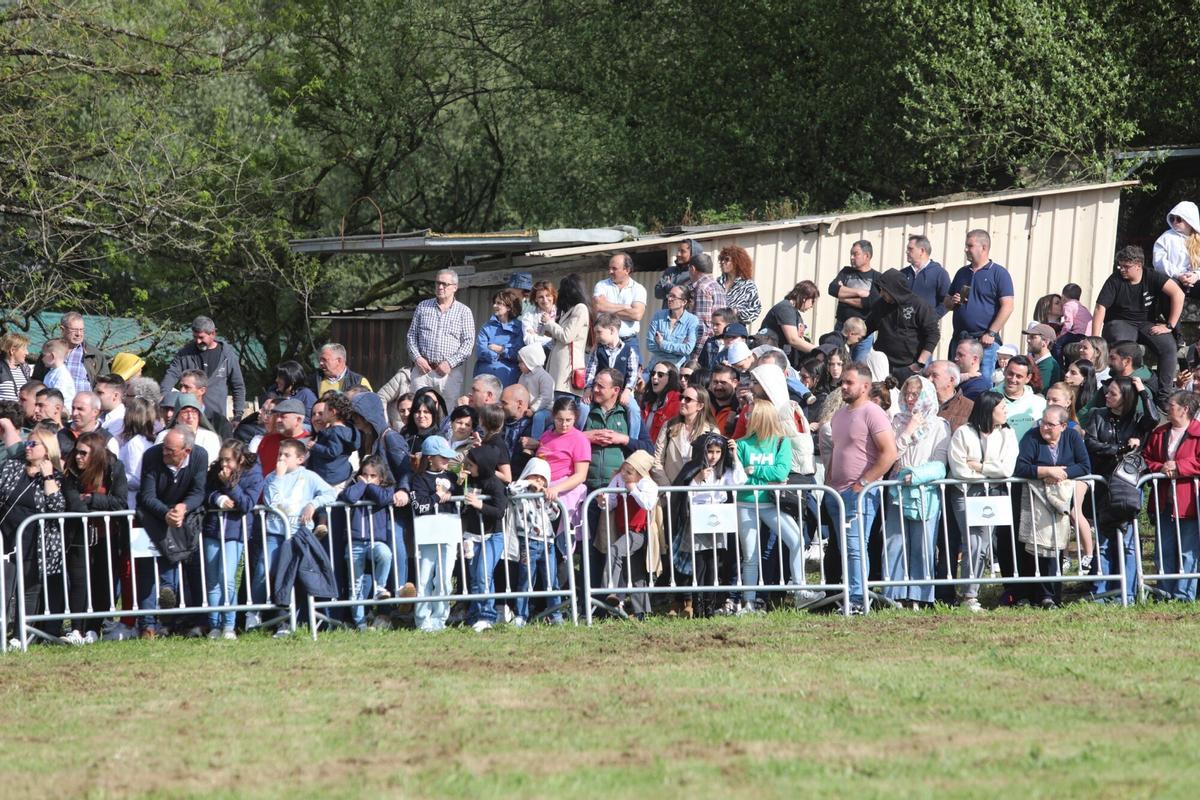 La XXXV Feira do Cabalo de Lalín cerró ayer su segunda y última jornada con una notable afluencia de público