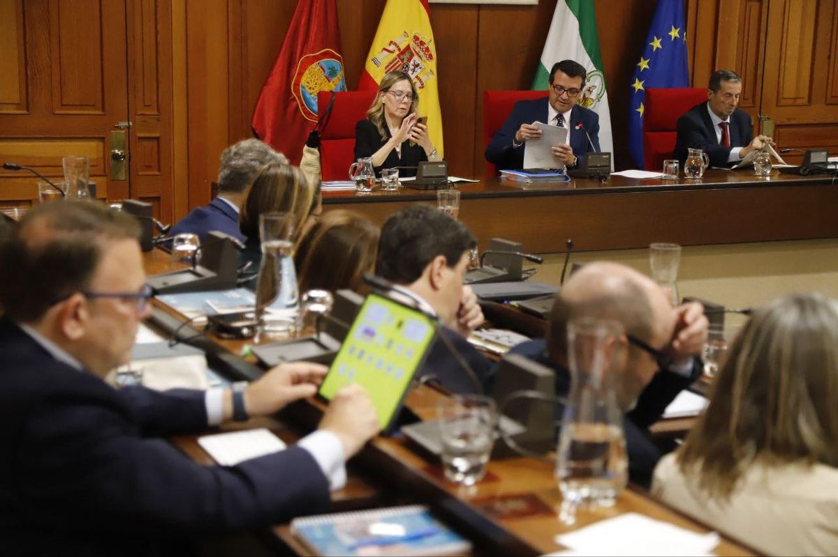 Imagen del salón de plenos de Córdoba, donde se celebra hoy la sesión ordinaria de mayo.