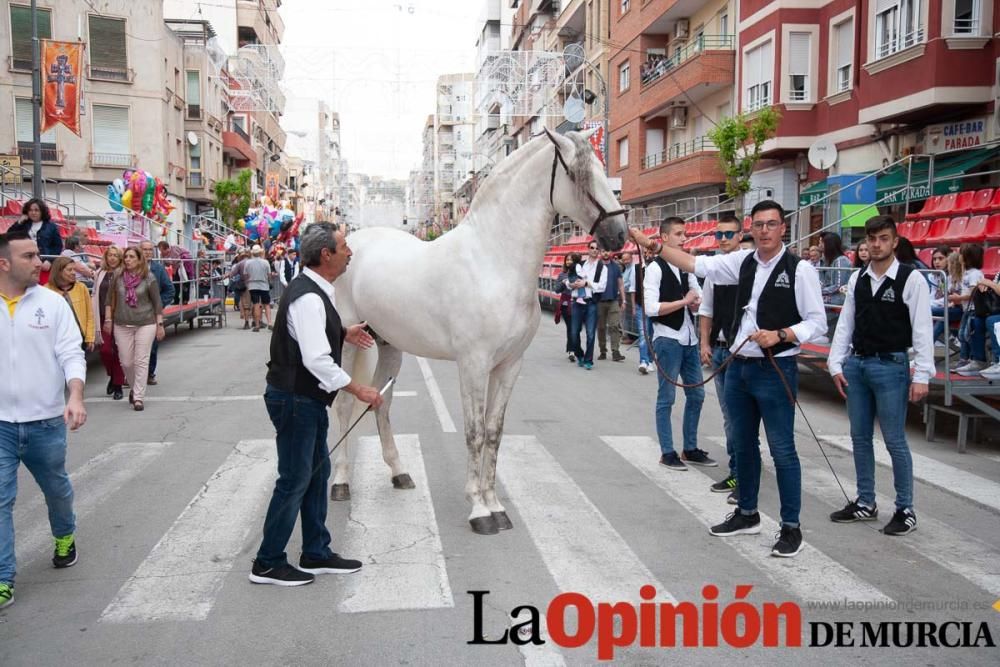 Caballos del Vino: Concurso morfológico (salida Pl