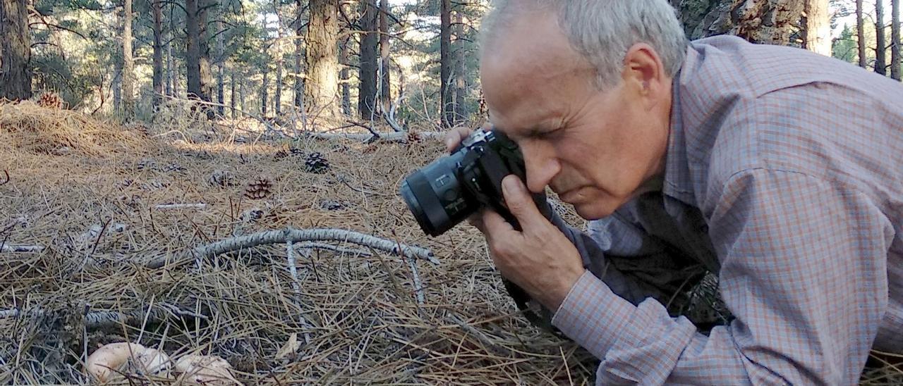 Felipe Alonso Garrido con su cámara fotografiando una seta en un pinar de Mahíde antes de ser arrasado por el fuego