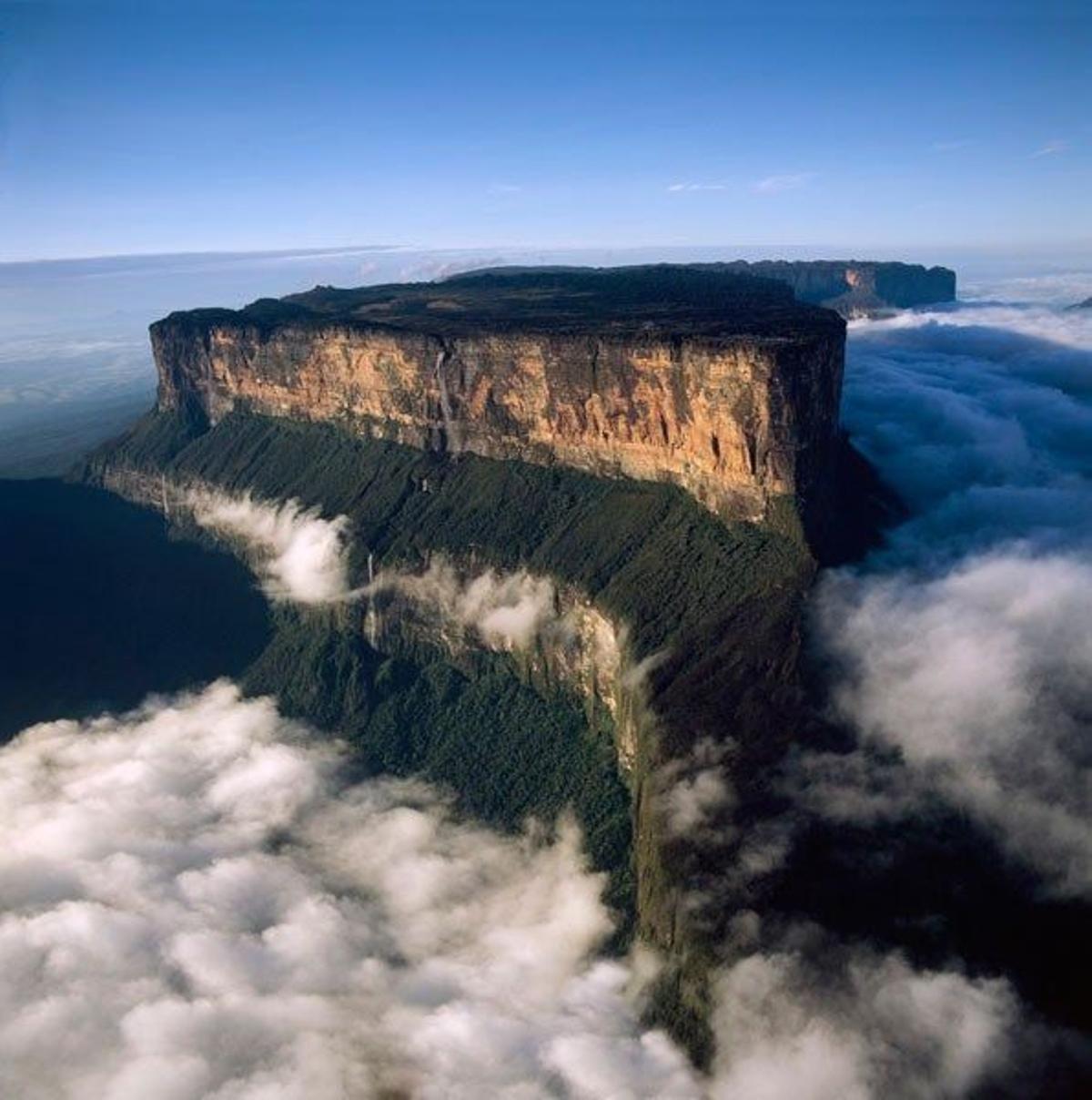 El Monte Roraima, en Venezuela, tiene en su cima algunas especies de animales únicas en el mundo.