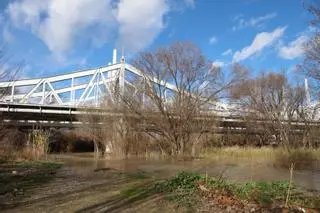 En imágenes I Así están los ríos a su paso por Zaragoza