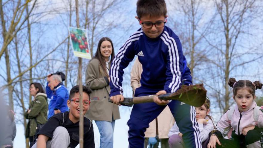 Culleredo celebra el Día Mundial del Árbol con 144 escolares en una jornada con formación y plantación