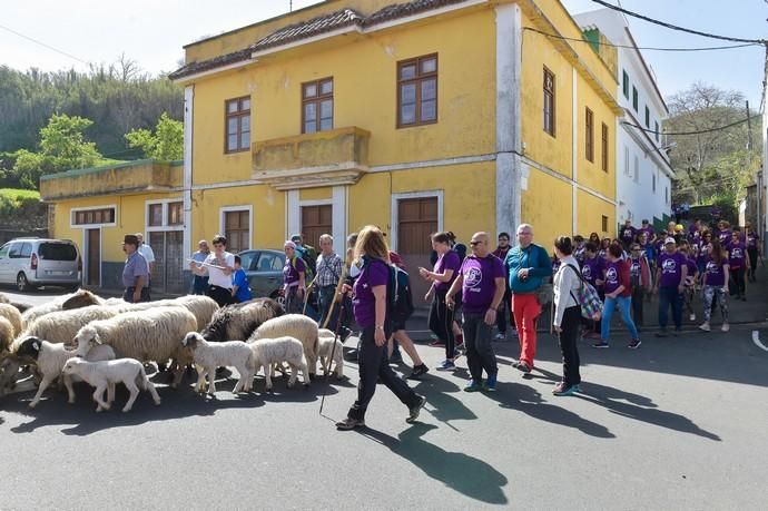 08-03-2020 VALLESECO. Feria del Queso y ruta trashumante femenina en el Cruce de Cueva Corcho. Fotógrafo: ANDRES CRUZ  | 08/03/2020 | Fotógrafo: Andrés Cruz