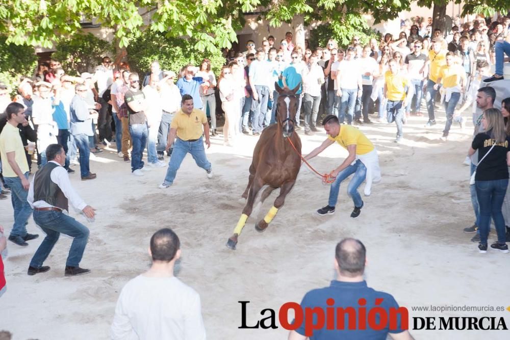 Día uno de mayo, entrada de caballos al Hoyo