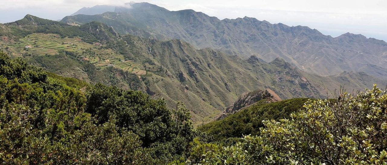 Paisaje de Anaga, una de las fortalezas del sello Biosphere en Tenerife.