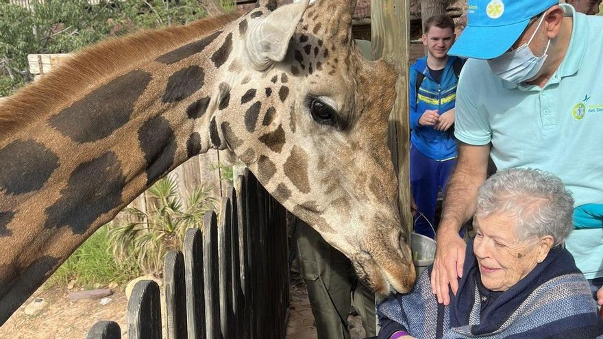 Tres ancianas amantes de la naturaleza cumplen su último deseo en Terra Natura