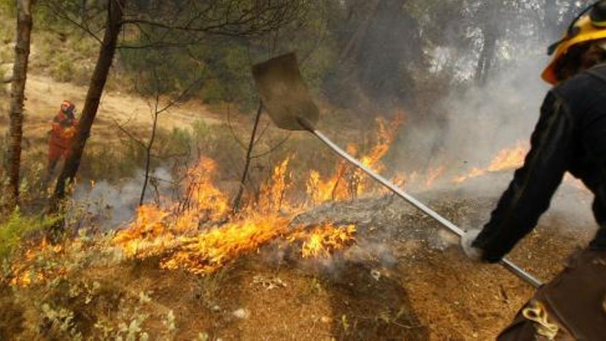 Una persona intenta apagar las llamas en el incendio declarado hoy en el término municipal de La Torre de les Maçanes