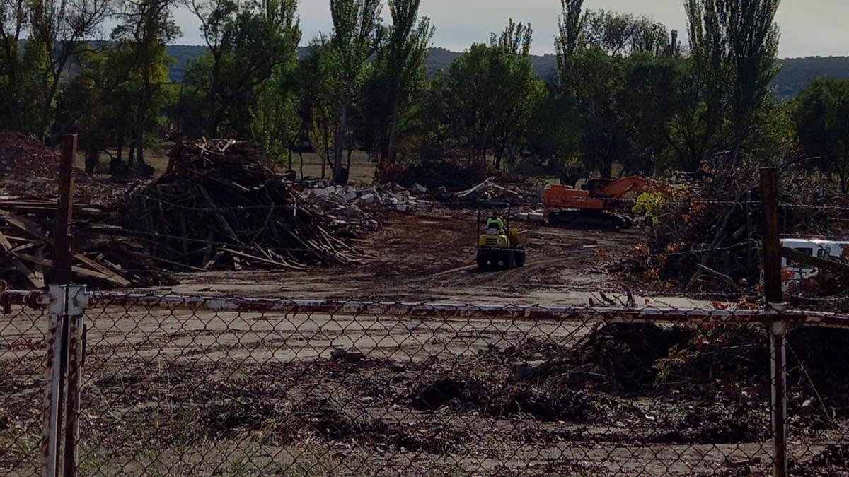 Desbroces y derribos en Monte La Reina