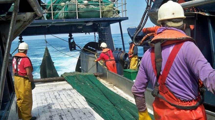 Trabajadores en un buque de arrastre. // ARVI