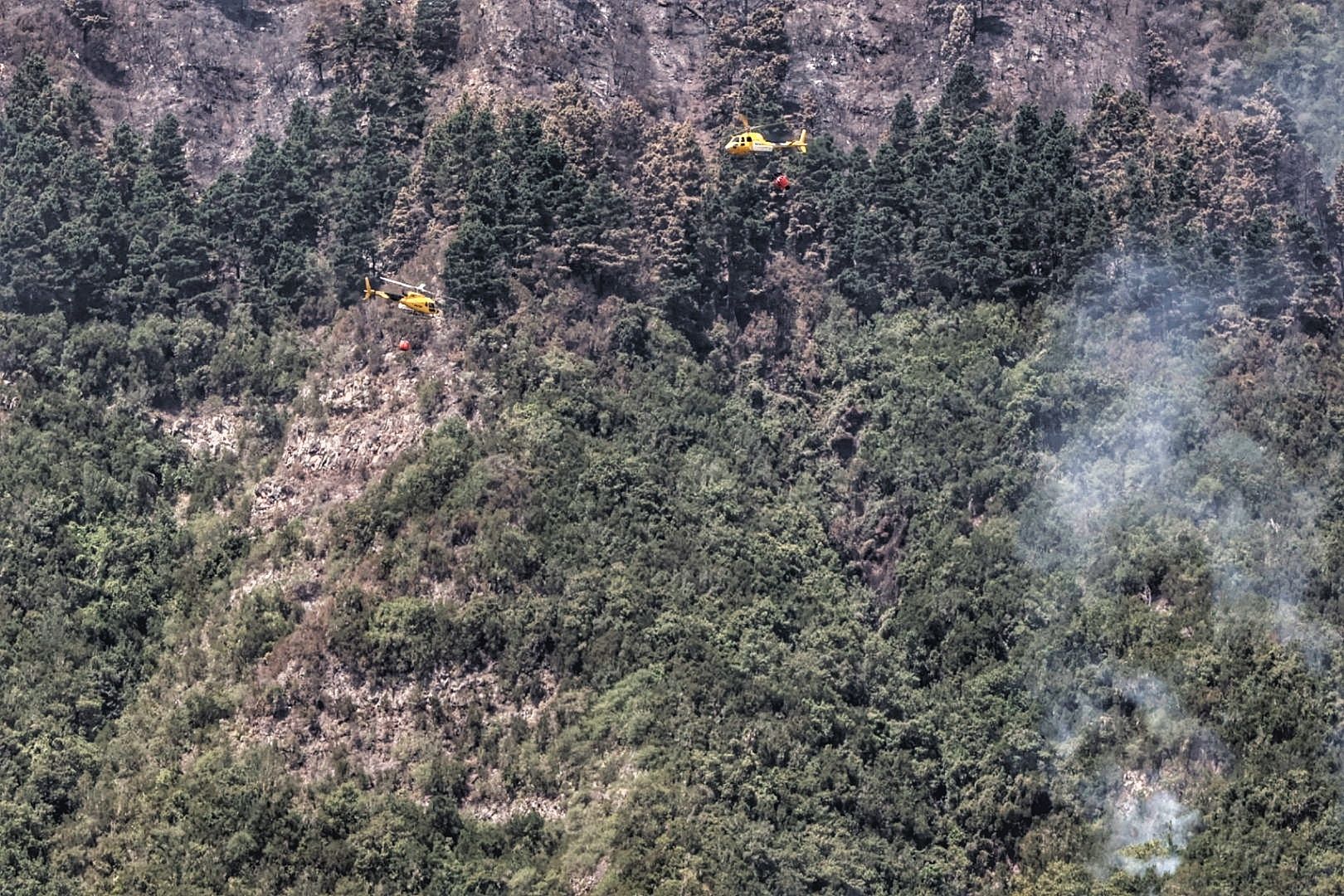 Siguen las tareas de extinción del incendio de Tenerife