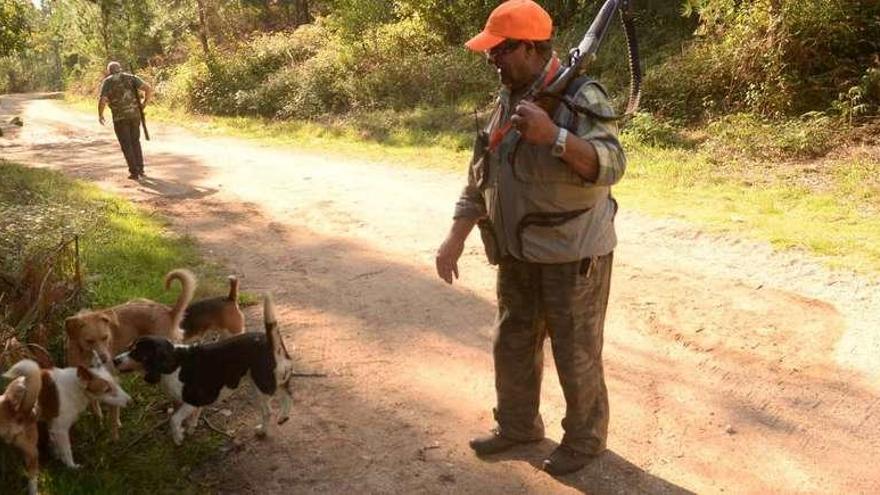 Un par de cazadores, con sus perros especializados en la búsqueda de conejos, en los montes de O Salnés. // Noé Parga