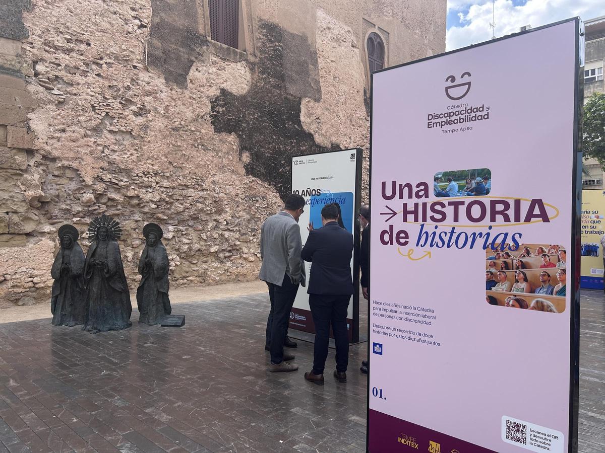 La Cátedra de Discapacidad y Empleabilidad Tempe Apsa de la UMH de Elche cumple 10 años