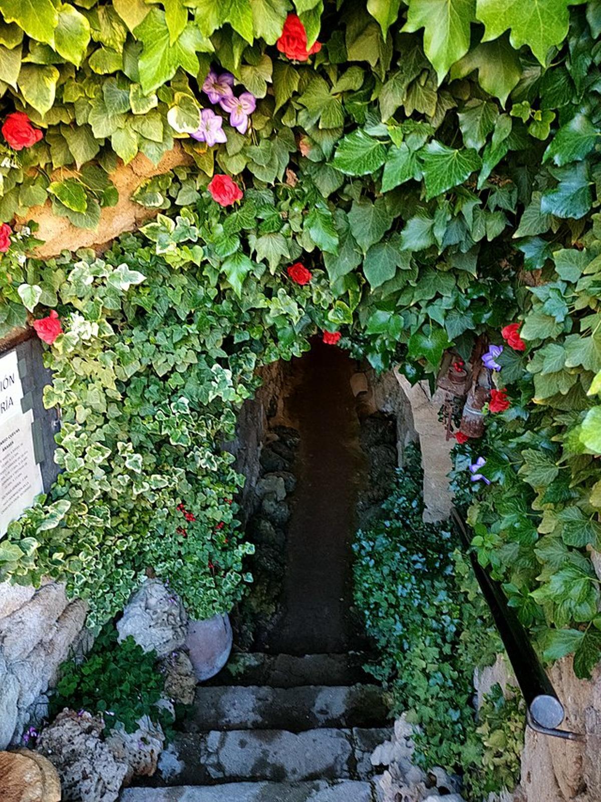 La entrada de la cueva está llena de flores.