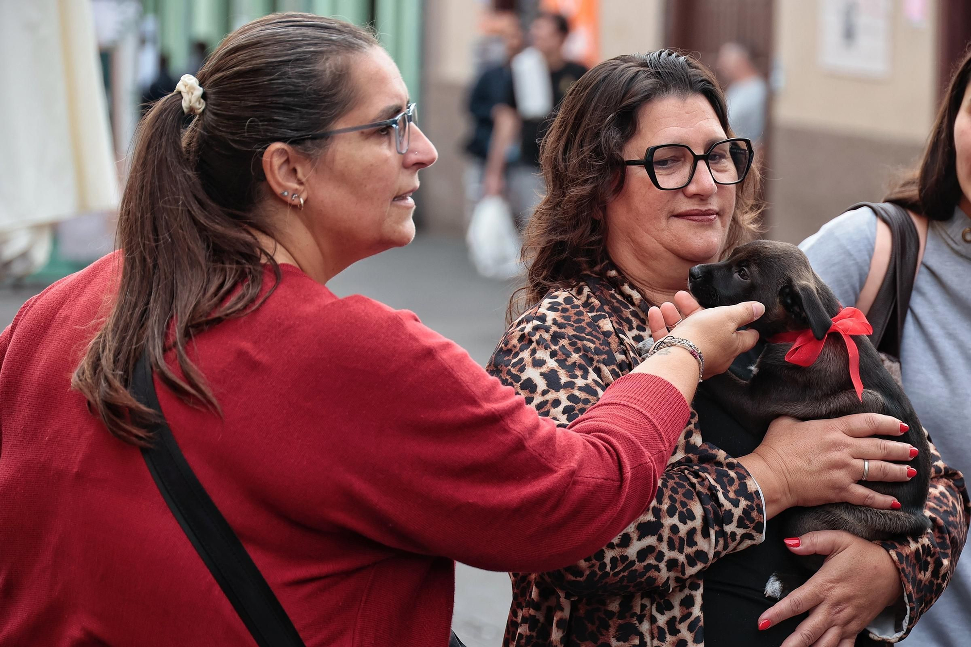 Feria de la Adopción Responsable de Animales de Compañía