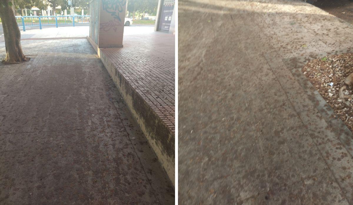 Una vecina denuncia suciedad, mal olor y falta de mantenimiento en la calle Britania de Alicante