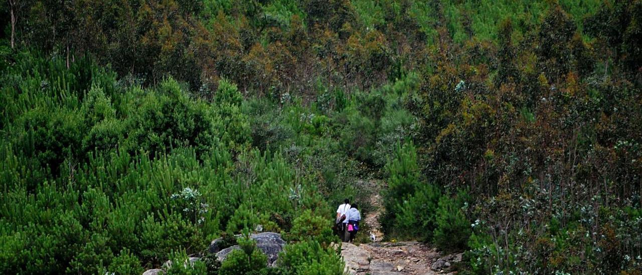 Dos senderistas caminan por un cortafuegos en el monte Xiabre.