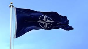 Controvèrsia a l’OTAN