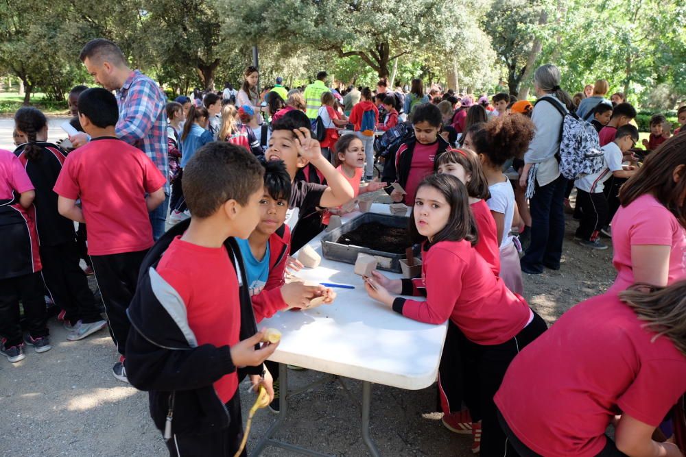 Festa de l´Arbre «100 anys»