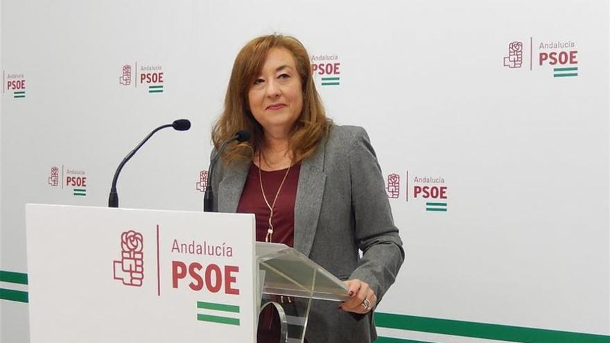 El PSOE reclama al Gobierno central una &quot;financiación justa&quot; de la dependencia