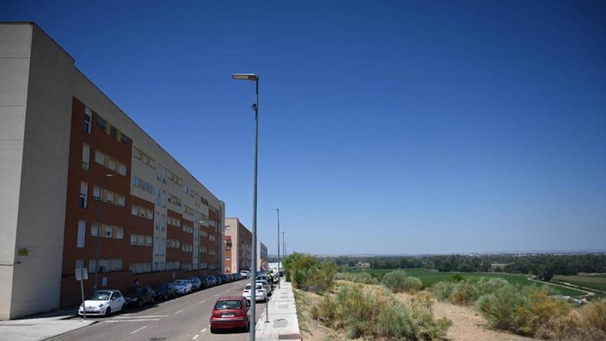 Parcela donde se construirá el instituto de Cerro Gordo.