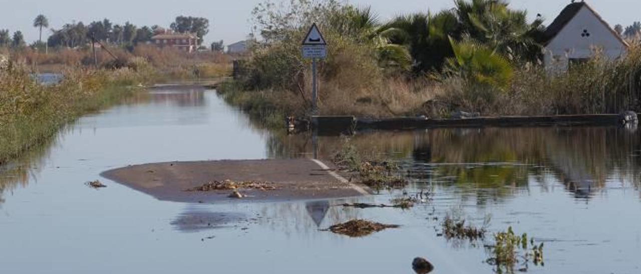 Cultivos y carretera inundada en el marjal por las intensas lluvias y el mal funcionamiento de la gola.