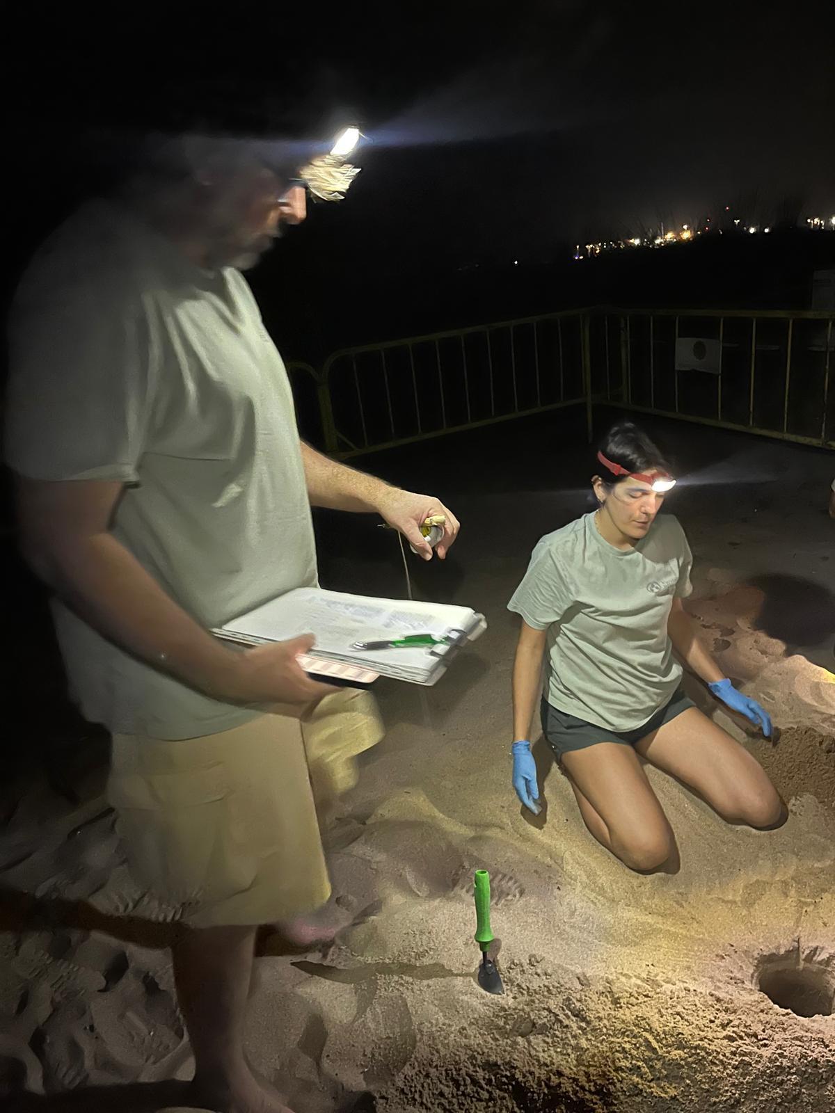 Las imágenes de la puesta de la tortuga Mona en Dénia