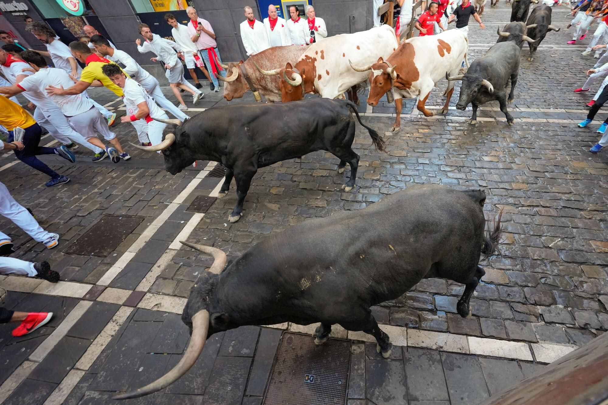 PAMPLONA, 14/07/2025.- Los mozos son perseguidos por toros de la ganadería sevillana de Miura en el tramo de Mercaderes durante el octavo y último encierro de los Sanfermines este lunes. EFE/ Ainhoa Tejerina