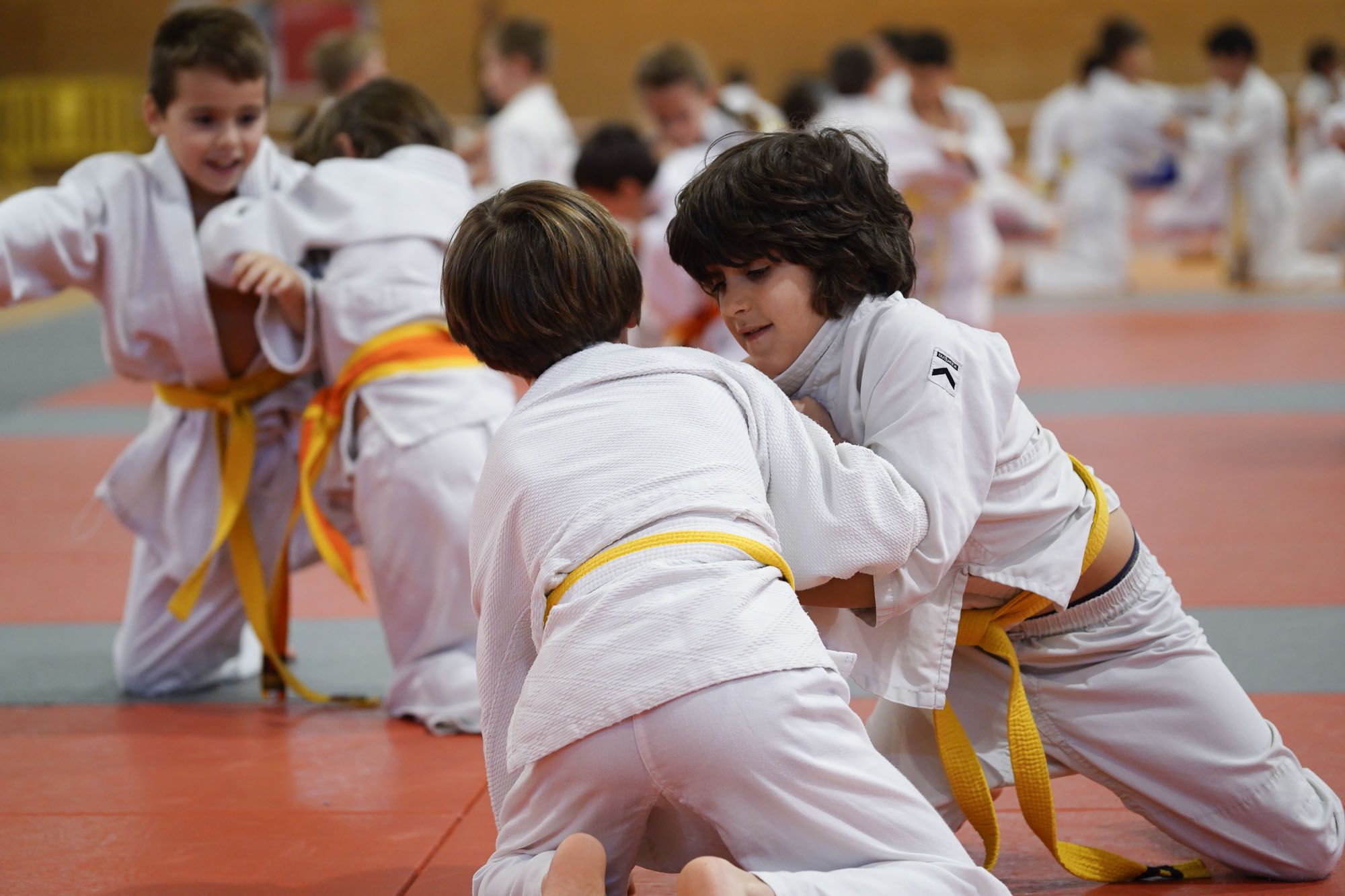 Les imatges del torneig infantil de judo de l'Escola 7
