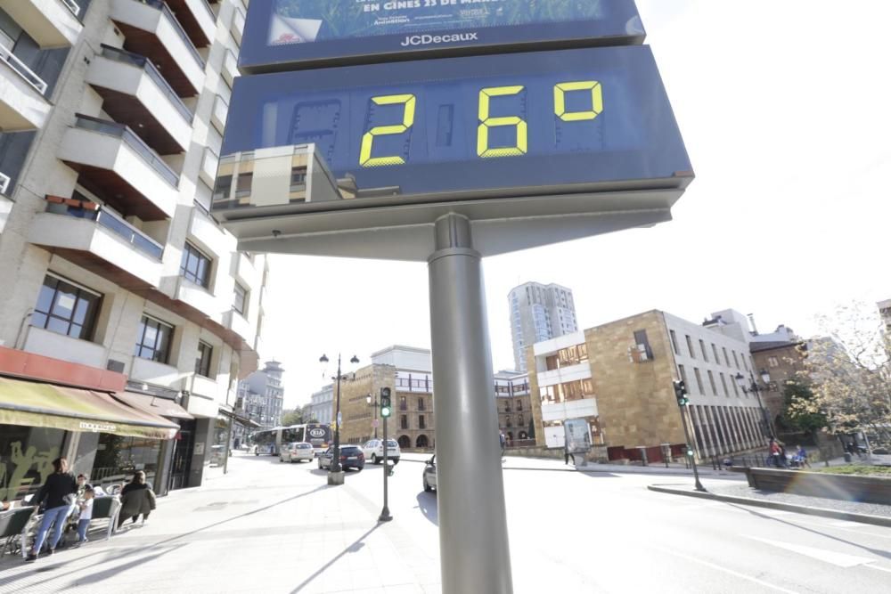 La primavera se deja notar (por fín) en Asturias