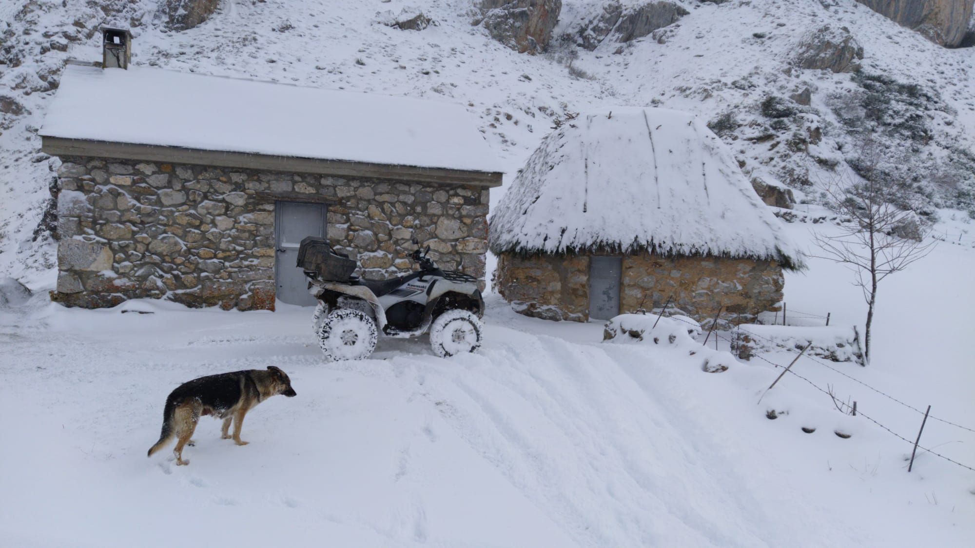 Primeras nieves en Asturias: de Covadonga a Tineo