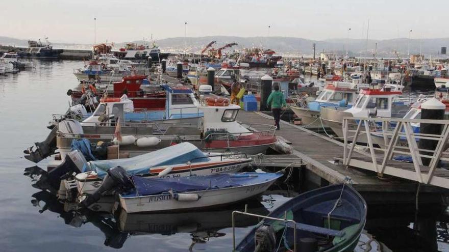 Embarcaciones amarradas en el puerto de Bueu. // Santos Álvarez