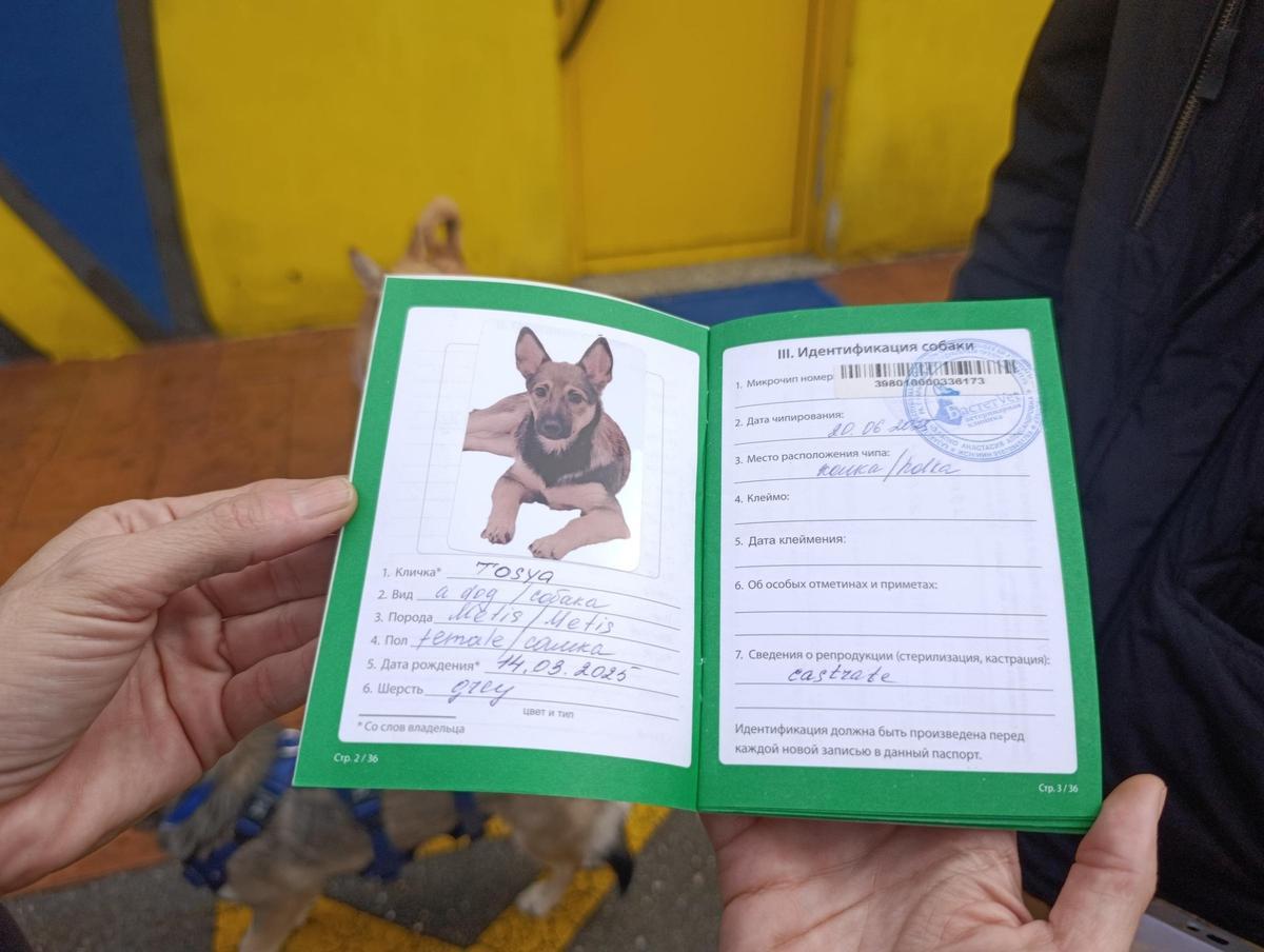 La cartilla sanitaria de Kazajistán, con los datos de "Hera".