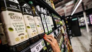 L’oli d’oliva toca fons  i inicia una lleu recuperació