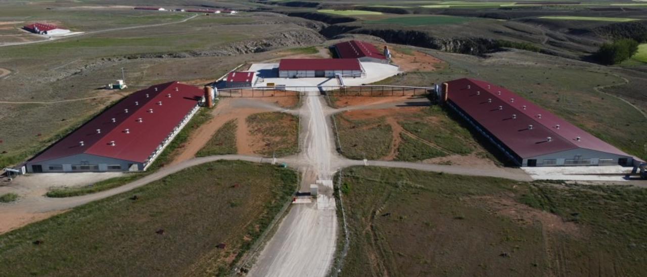 Una granja avícola con varias naves para la producción de huevos.