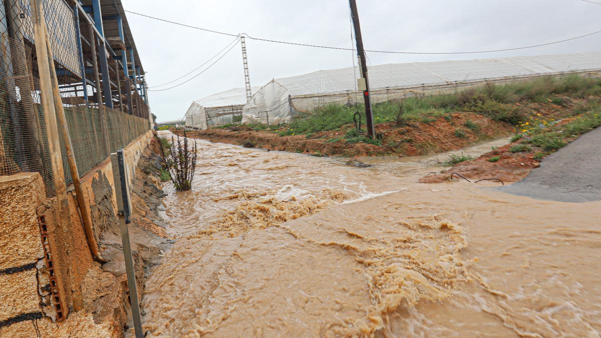 El agua busca nuevos caminos de escorrentía con la transformación intensiva del suelo con la explotación de grandes superficies de invernaderos entre San Pedro y Pilar de la Horadada. Imagen del jueves 25 de marzo de 2022