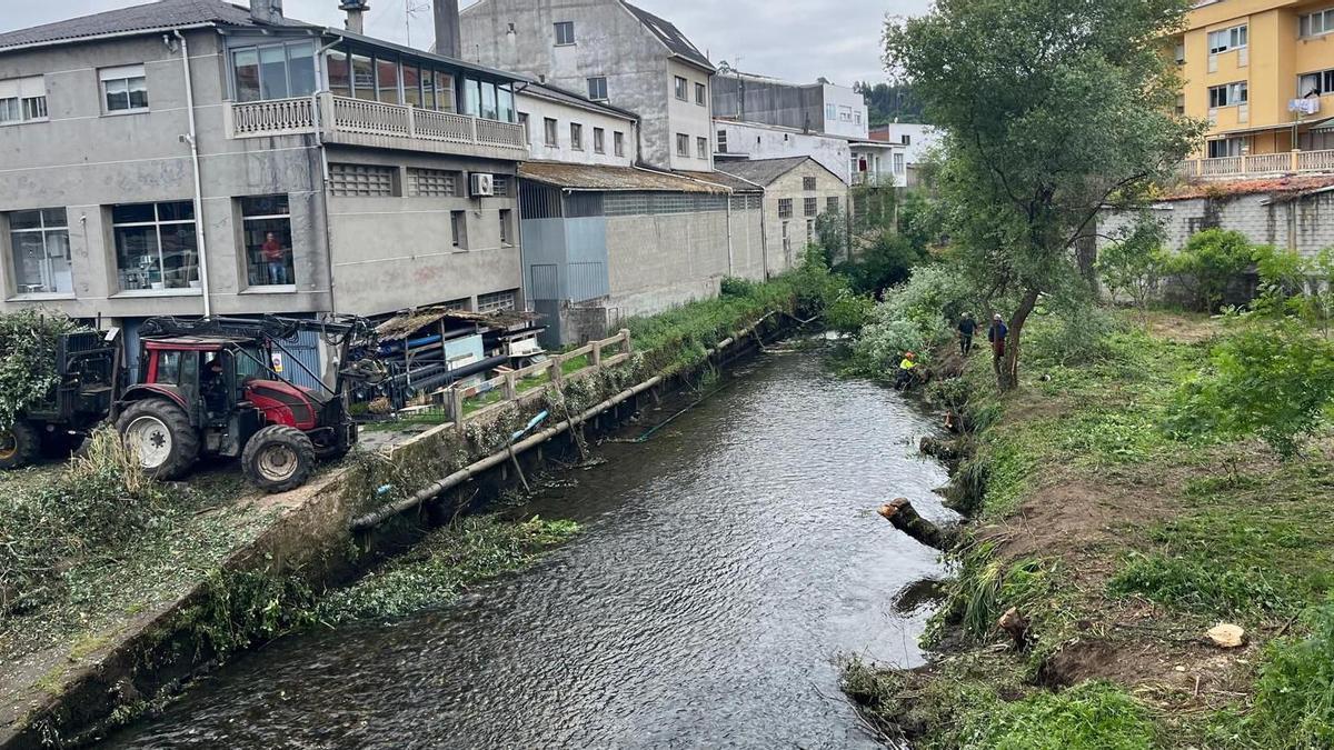 Tala a orillas del río Mendo, en el entorno de As Cascas.