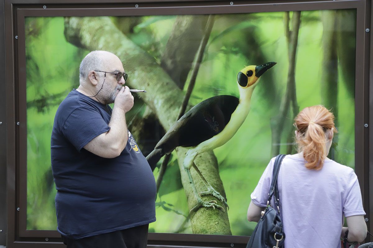 Las fotos de National Geographic en la Bienal de Córdoba