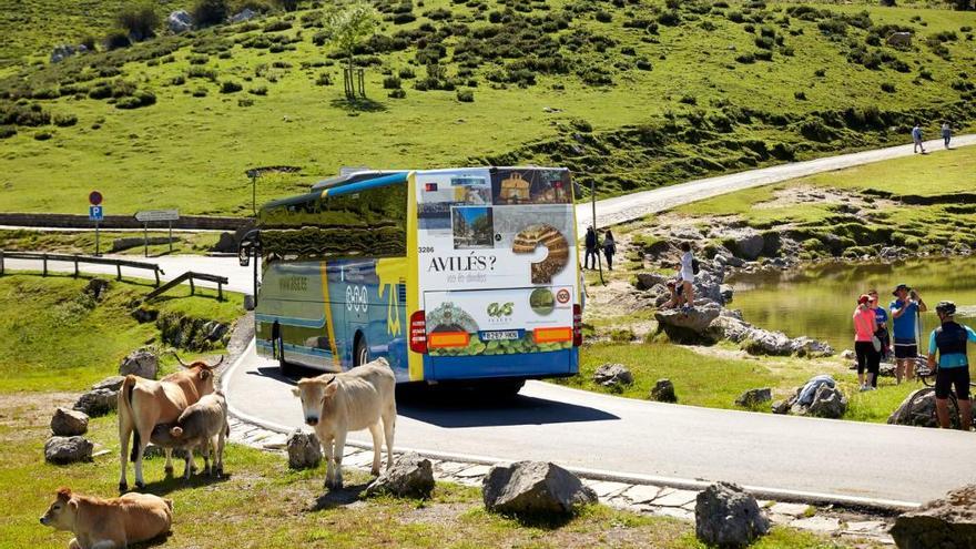 Uno de los autobuses con publicidad de Avilés.