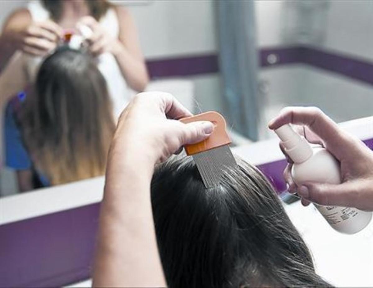 TRACTAMENT.Les pintes metàl·liques per a la retirada de llémenes i les locions són d’ús comú. TRACTAMENT.Les pintes metàl·liques per a la retirada de llémenes i les locions són d’ús comú.