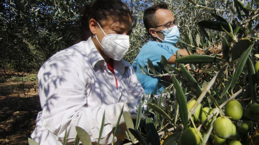 El convenio del campo es el que más trabajadores aglutina.