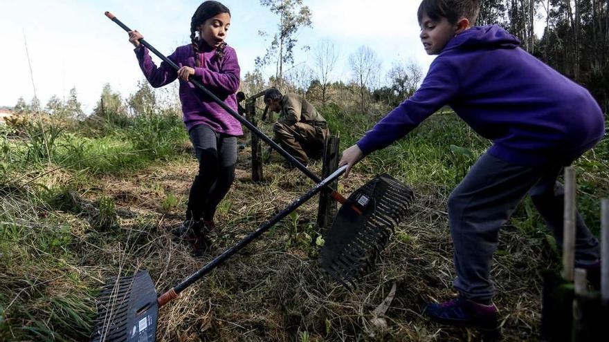 Unos niños, limpiando ayer con rastrillos el área recreativa de Sollovio, en Illas.