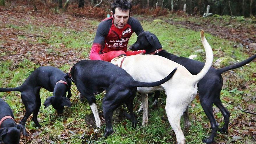 Alejandro Gómez juguetea con sus perros en una imagen reciente.