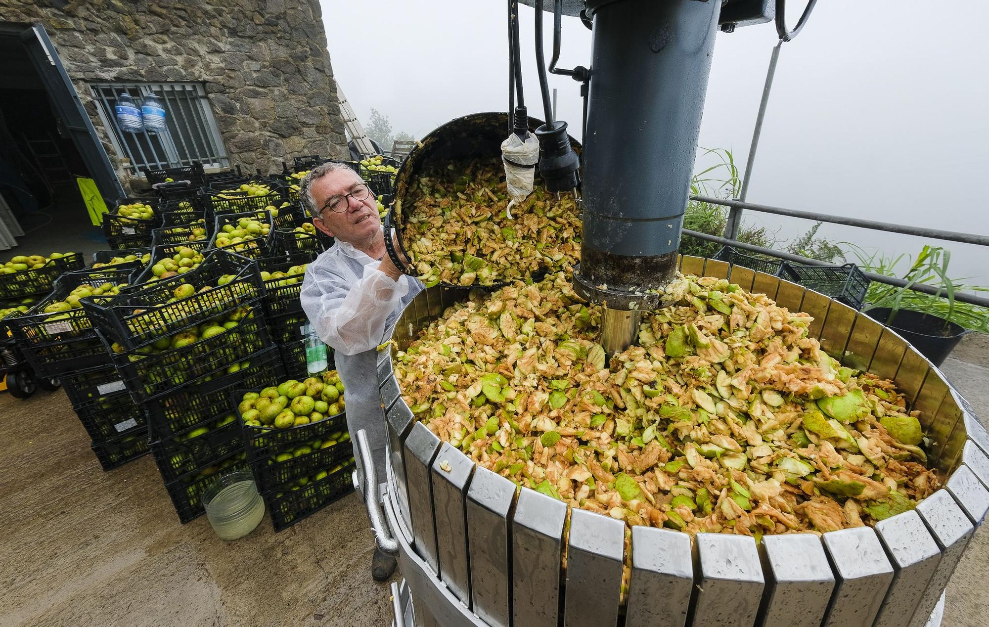 Un chubasco de manzanas