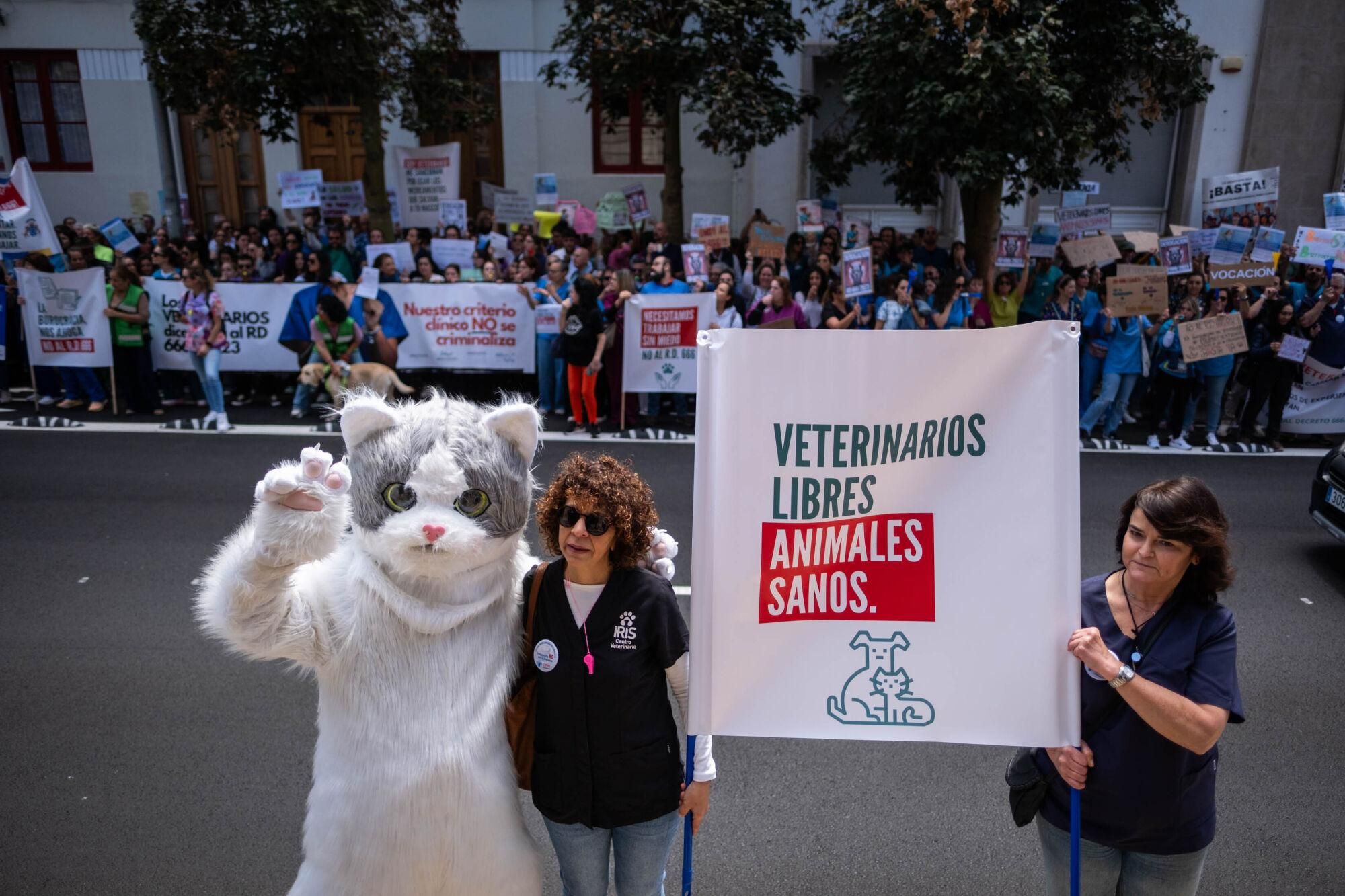 Los veterinarios  de Tenerife se manifiestan contra el decreto que les impide suministrar antibióticos a las mascotas.