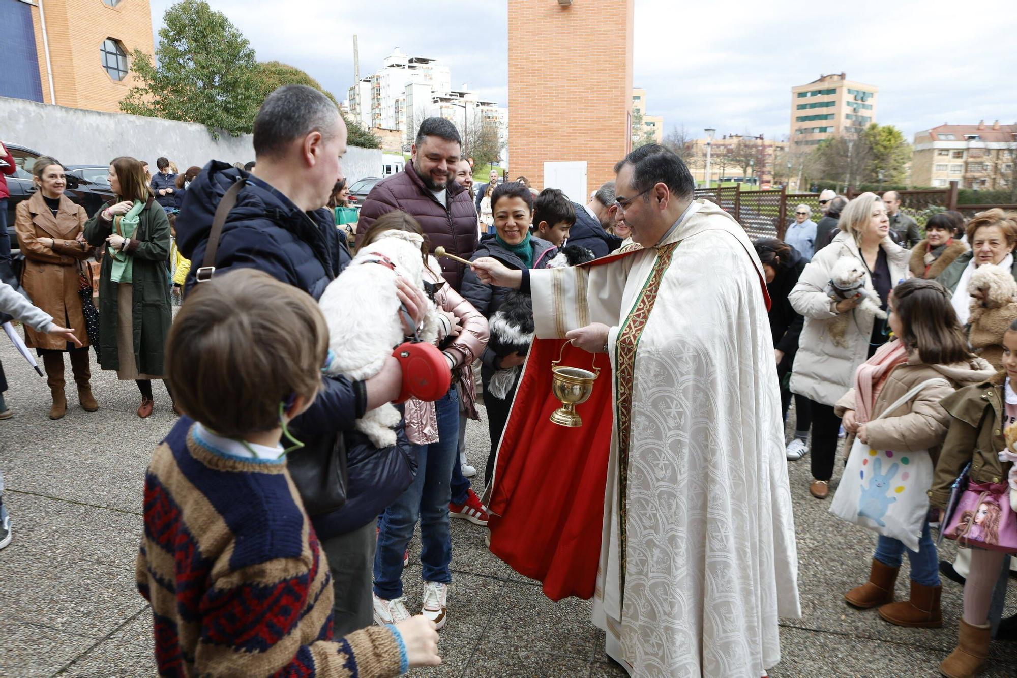 Bendición mascotas en Gijón en la parroquia de Viesques