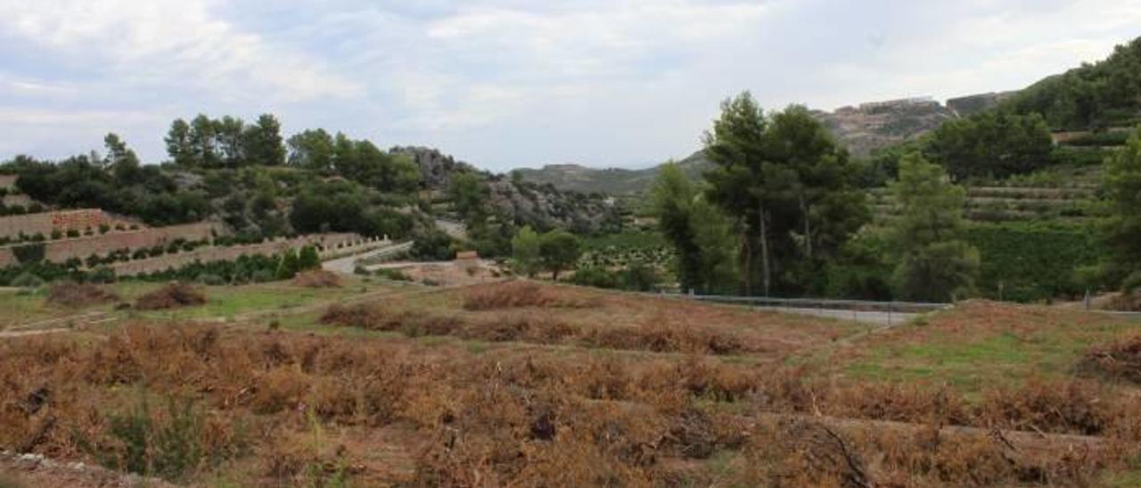 El nuevo turismo: un campamento colgado del Moraig y un camping con vistas a la Marjal