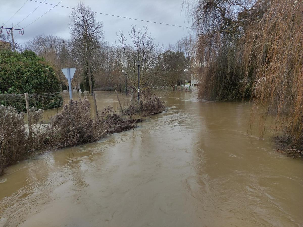 GALERÍA / El río Órbigo desbordado en Benavente, en imágenes GALERÍA / El río Órbigo desbordado en Benavente, en imágenes
